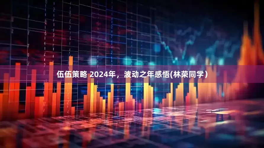 伍伍策略 2024年，波动之年感悟(林荣同学）